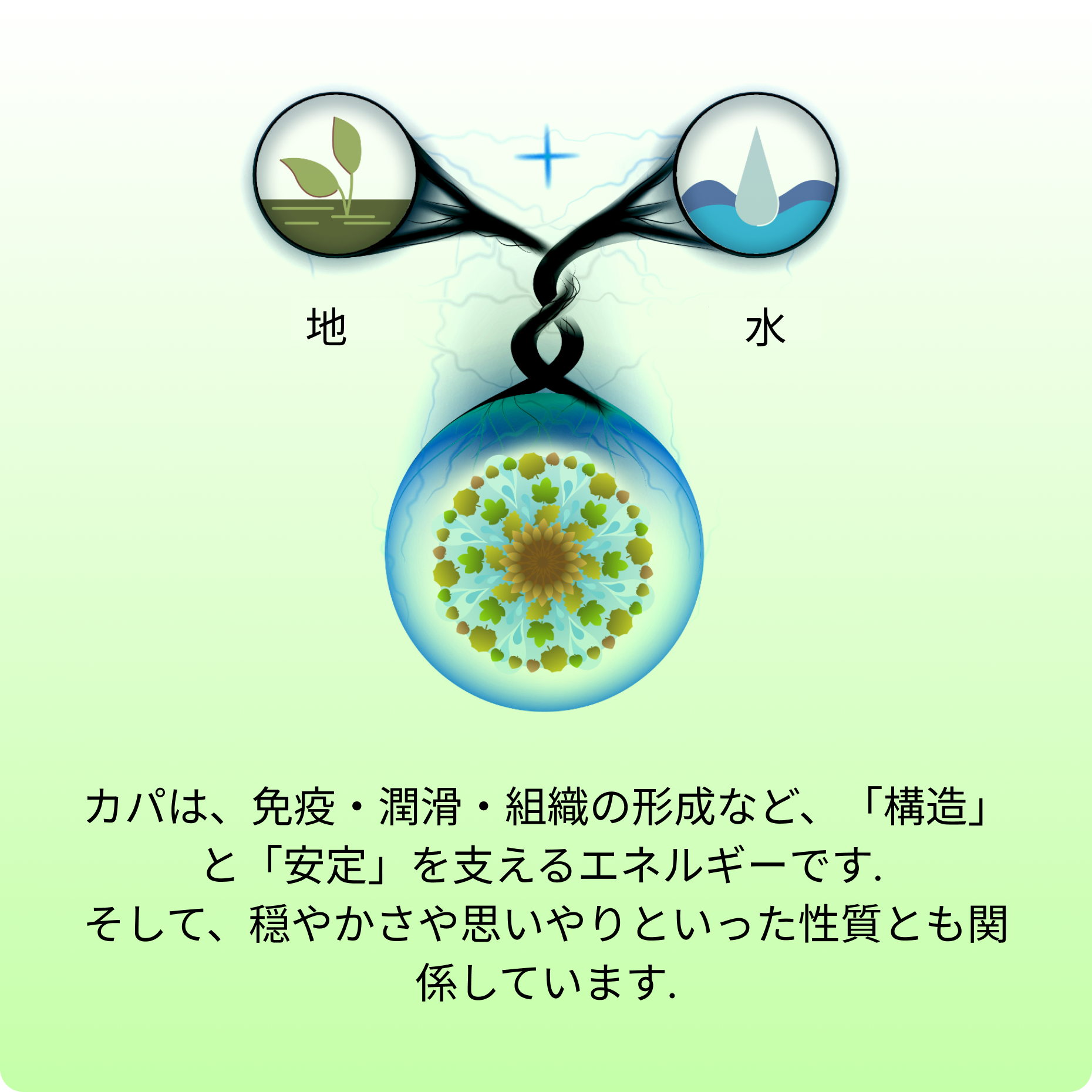 KAPHAカパ Hover