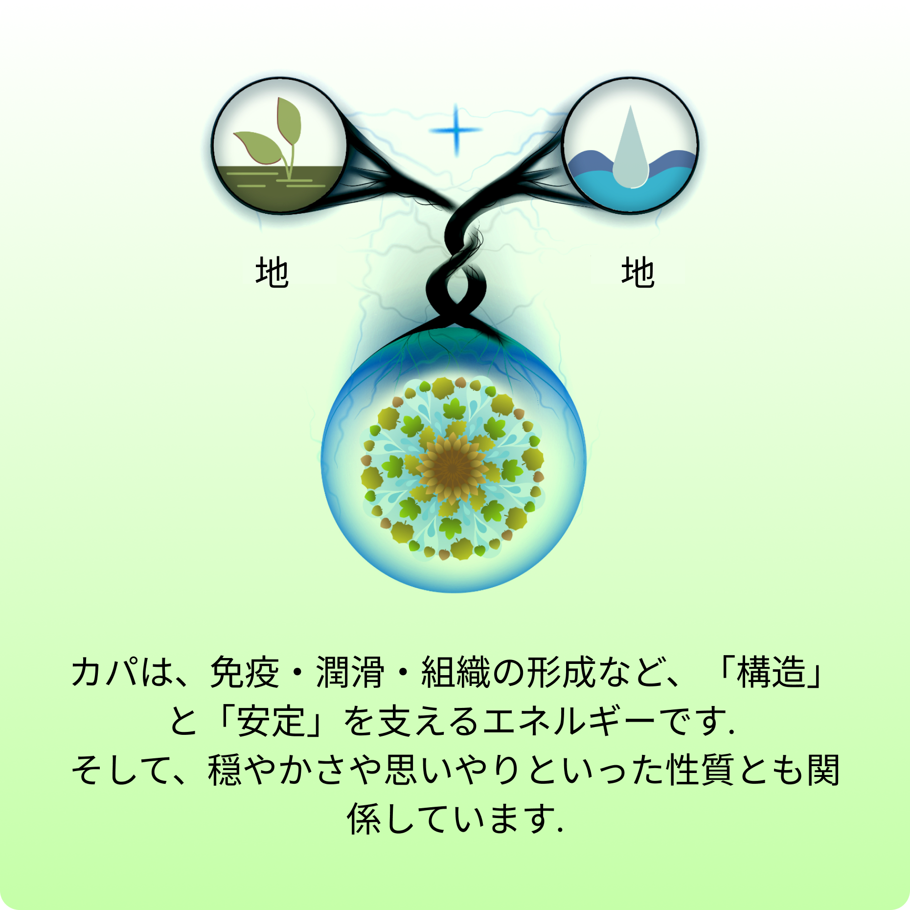 KAPHAカパ Hover