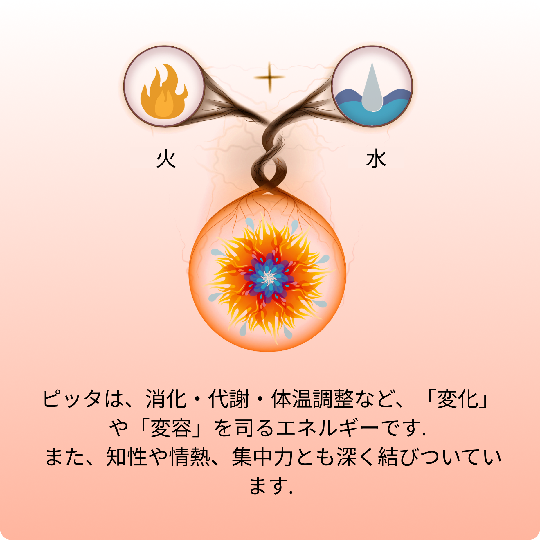 PITTAピッタ Hover